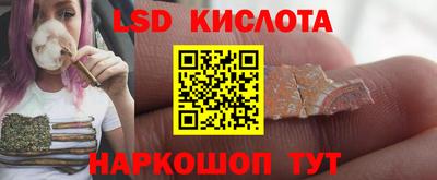 прущие грибы Абинск