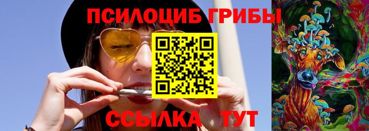 Псилоцибиновые грибы ЛСД  Вход с VPN  Альметьевск  Псилоцибиновые грибы MAGIC MUSHROOMS 